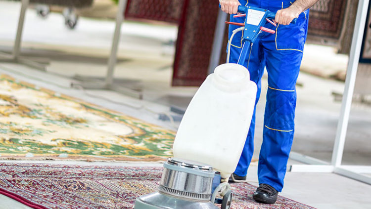 carpet cleaning