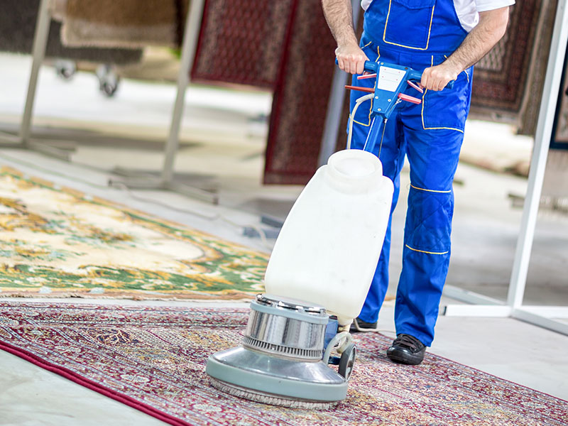 carpet cleaning