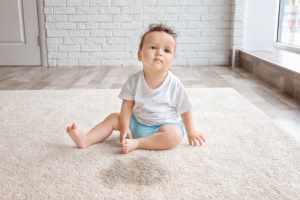 carpet cleaning lake heights