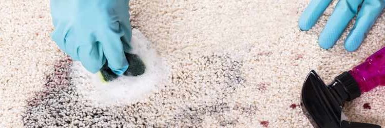 Carpet Cleaning Greenbank Services