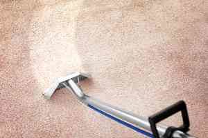 carpet cleaning brisbane market