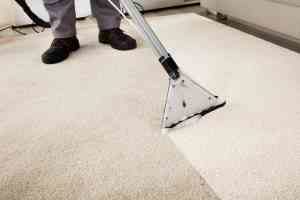 carpet cleaning mount pleasant