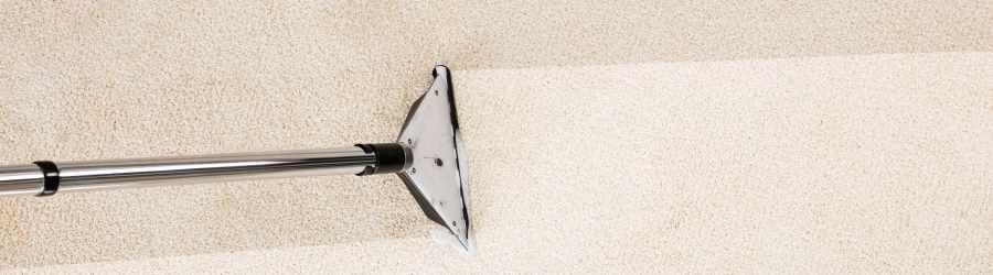 How carpet cleaning Ipswich can help