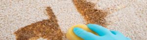 carpet cleaning South Maclean