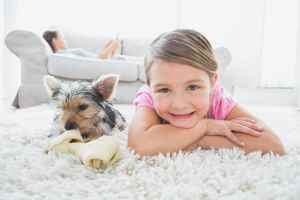 carpet cleaning Ipswich QLD