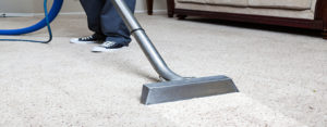 carpet cleaning springwood