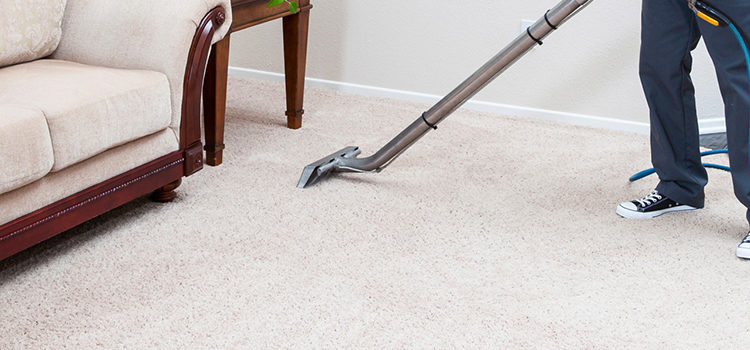 Carpet Cleaning Park Ridge