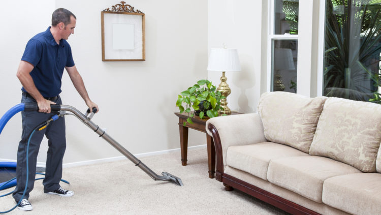 carpet cleaning