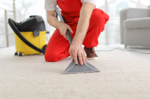 carpet cleaning North Tivoli