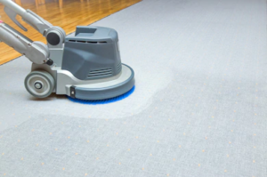 carpet cleaning Petrie