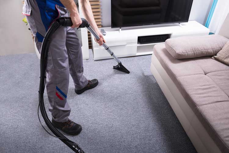 carpet cleaning