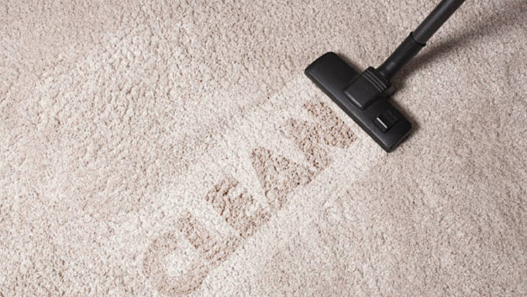 carpet cleaning