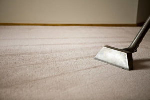 carpet cleaning Kenmore East