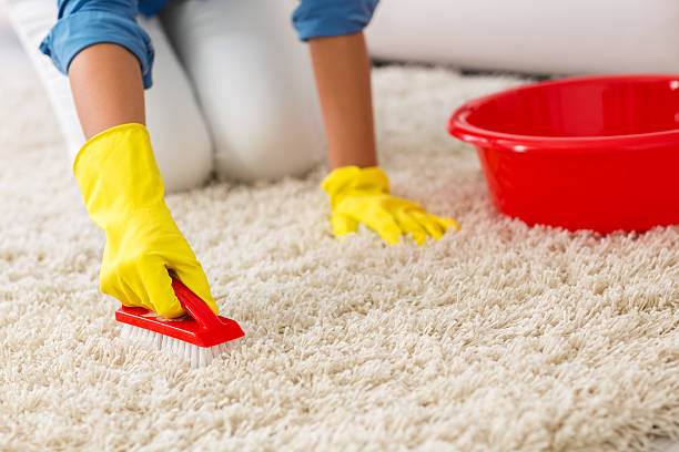 carpet cleaning