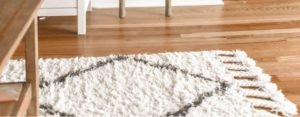 carpet cleaning Red Hill
