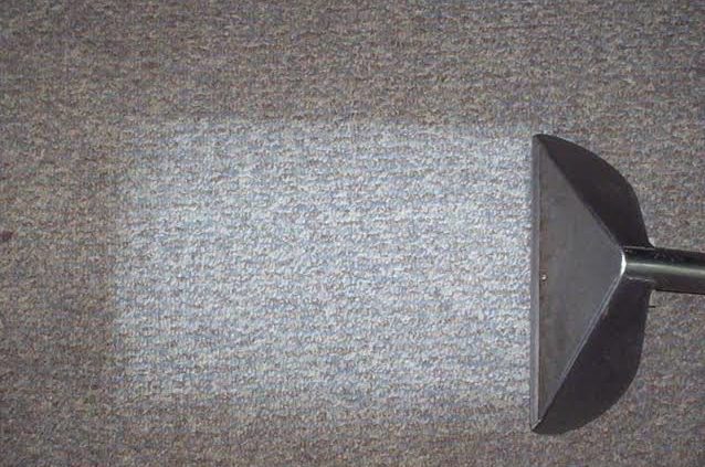 carpet cleaning