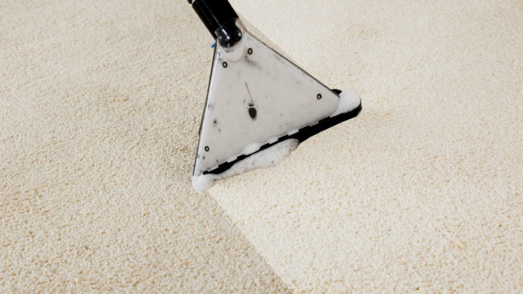 carpet cleaning