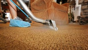 carpet cleaning Milton