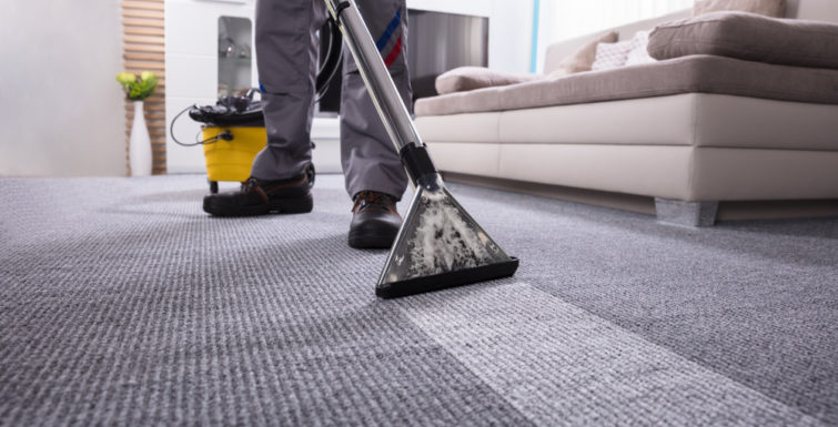 carpet cleaning