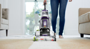 carpet cleaning service riverview