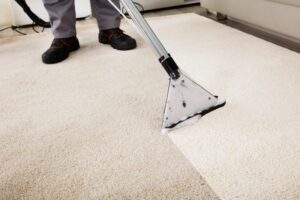 carpet cleaning Alexandra Hills