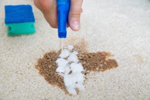 carpet cleaning the rocks