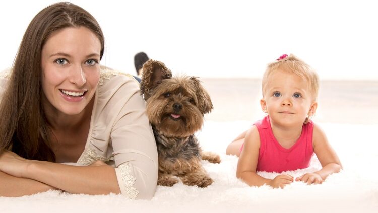 carpet cleaning Beenleigh