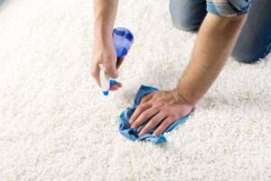 carpet cleaning Forest Lake