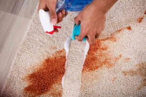 carpet cleaning Rifle Range