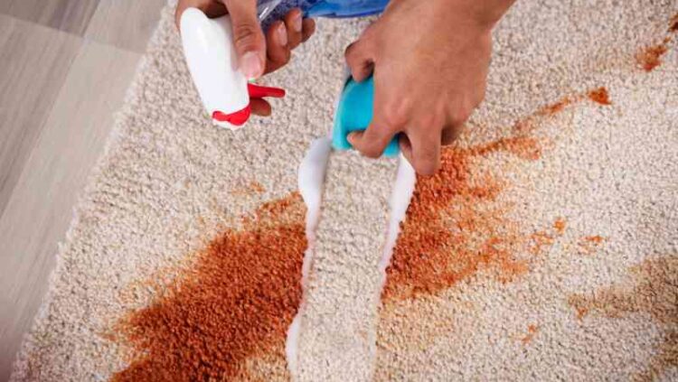 carpet cleaning Thornlands