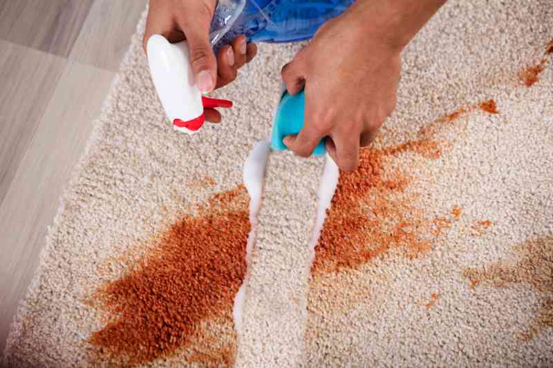 carpet cleaning Thornlands