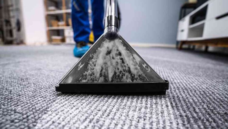 Carpet Cleaning Albany Creek