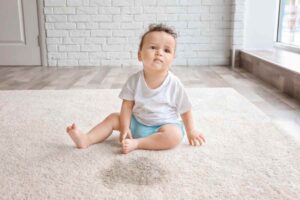 carpet cleaning Seven Hills