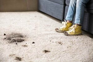 carpet cleaning Upper Brookfield