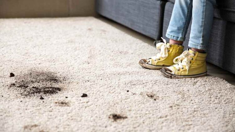 Carpet Cleaning Eight Mile Plains