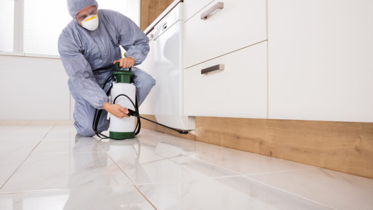 Carpet Cleaning and Pest Control