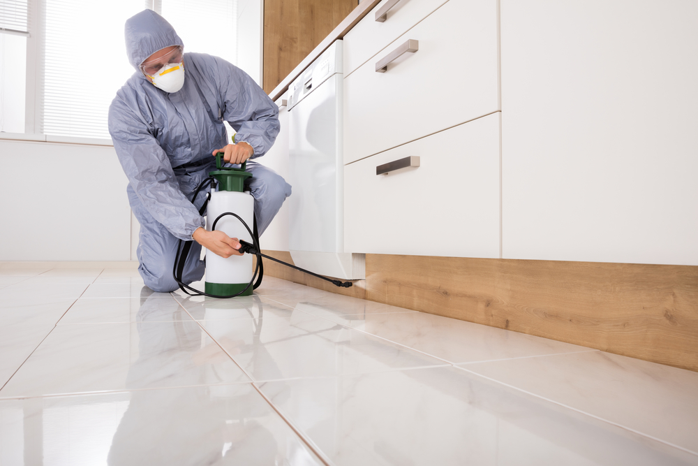 Carpet Cleaning and Pest Control