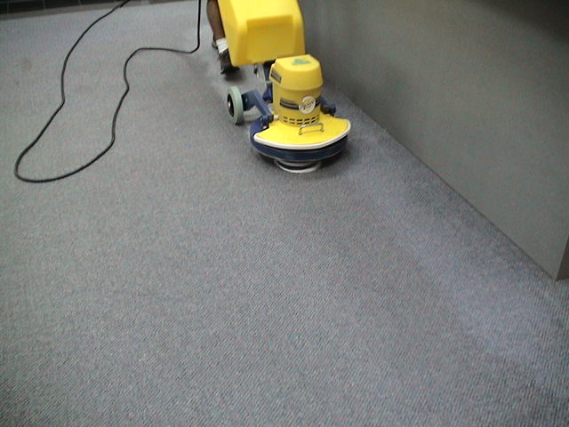 Carpet Cleaning Doolandella